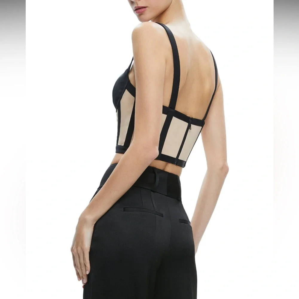 Alice + Olivia Helene Striped Bustier Top in Black/Almond - Picture 6 of 9